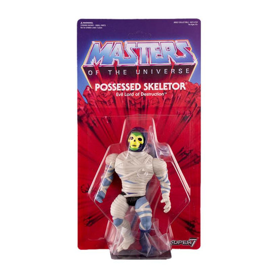 Masters of The Universe Possessed Skeletor Super7 Three Terrors 2016