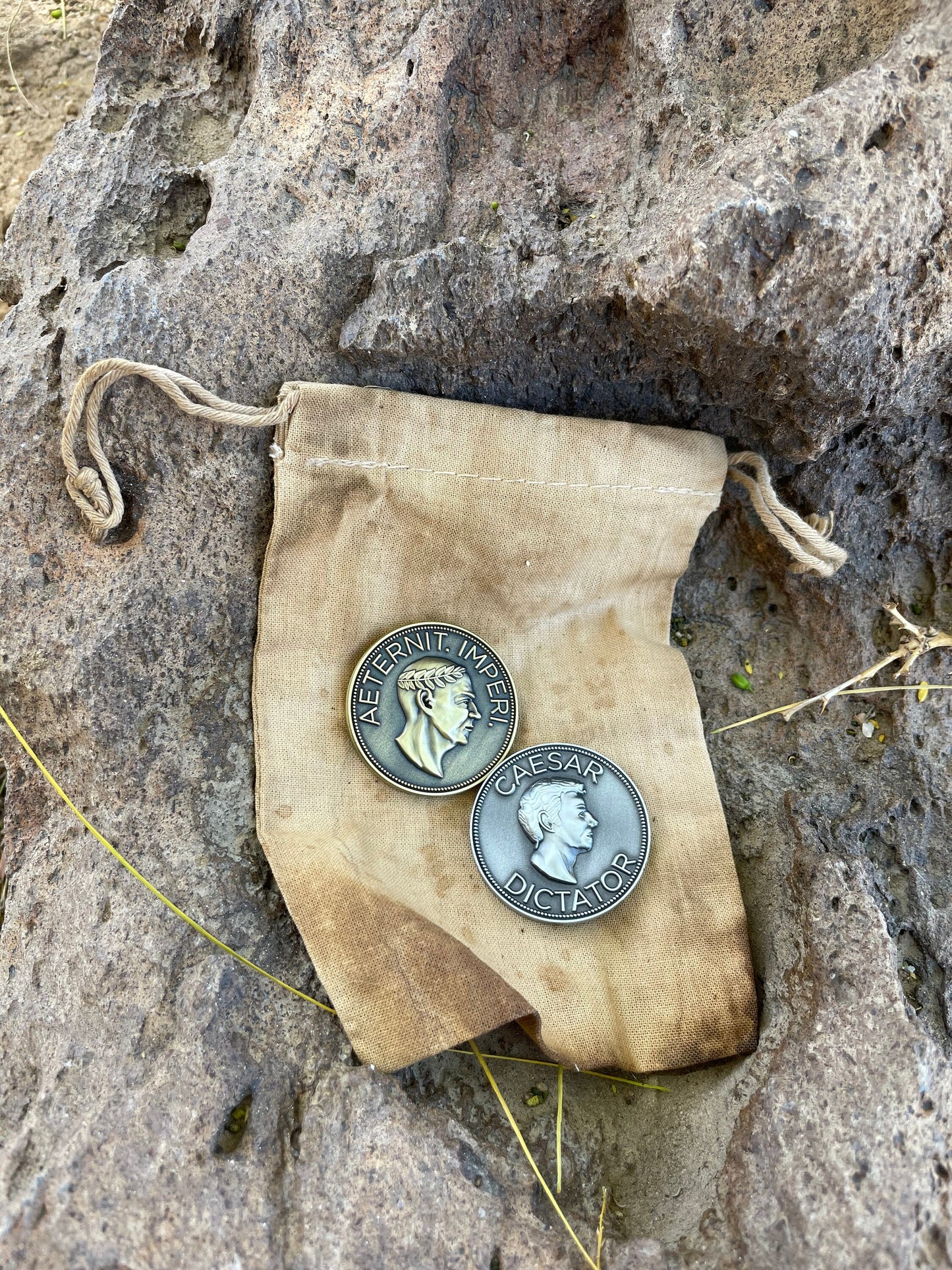 Legion Denarius & Aureus Coin set Caesar's Legion